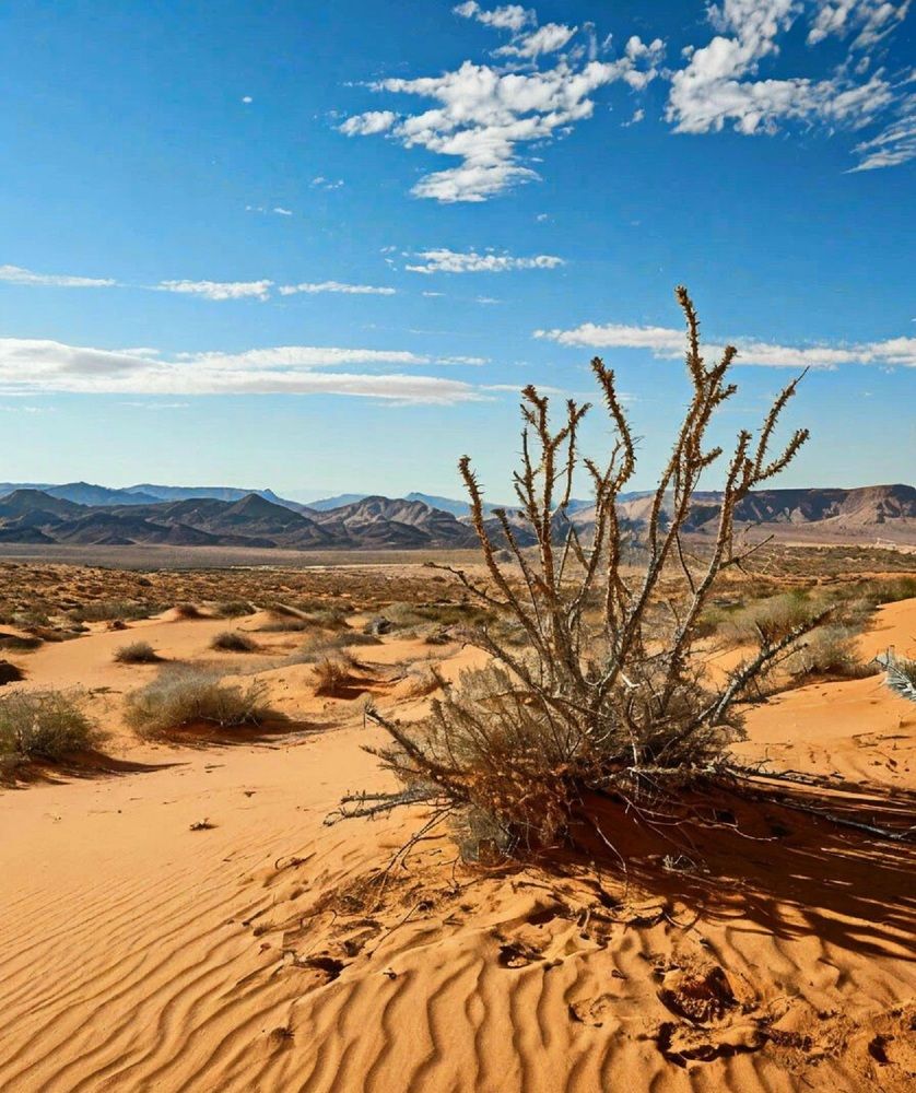 Photograph by Виталий Черепенькин