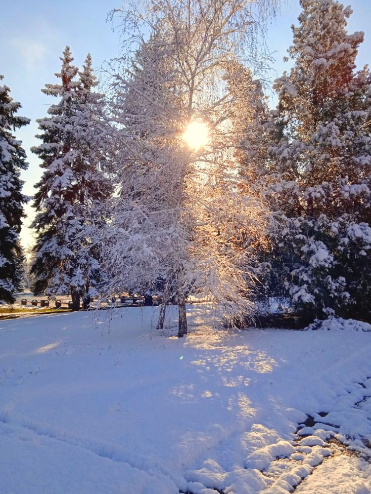 Photograph by Анна Напримерова