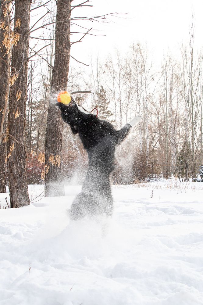 Photograph by Татьяна Арендаренко