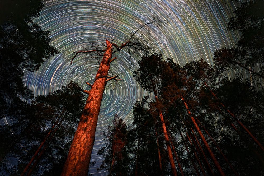 Photograph by Aleksandr Ilyin