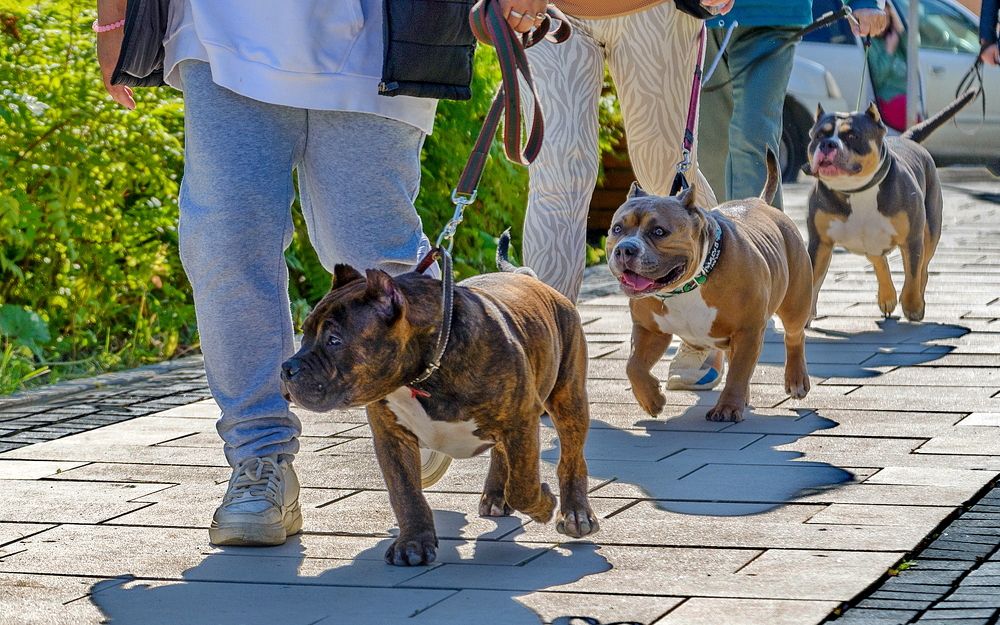 Photograph by Юрий Горяной