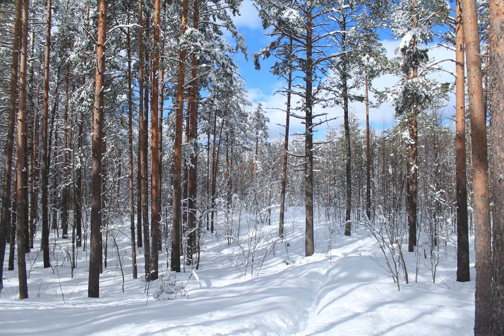 Photograph by Анна Азарёнок