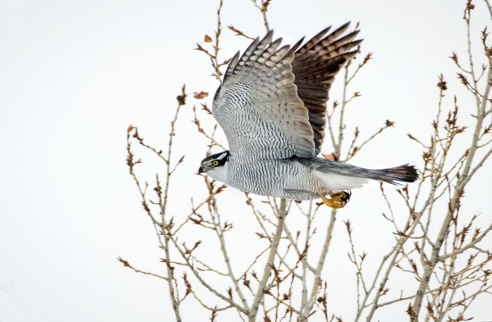 Photograph by Александр Перегудов