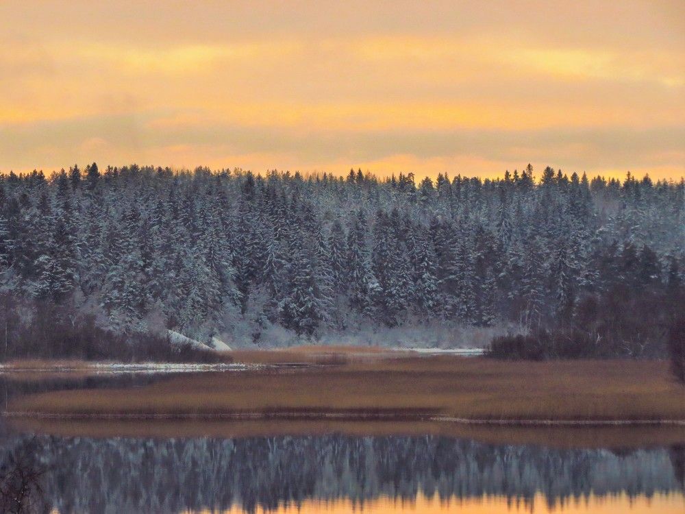 Photograph by Анна Азарёнок