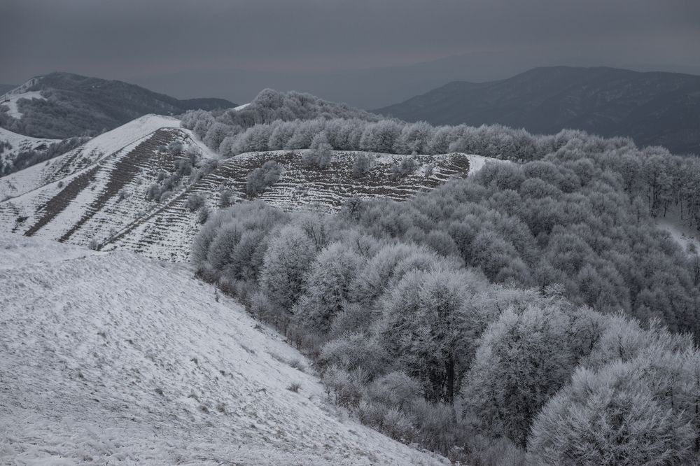 Photograph by Анастасия Сартакова