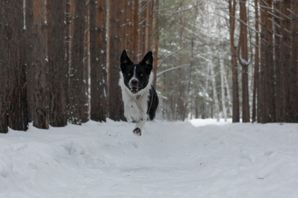 Photograph by Татьяна Арендаренко