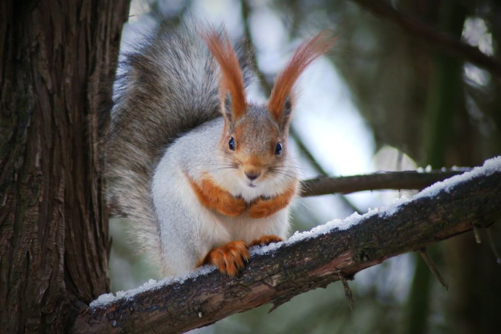 Фотография автора Андрей Павловский