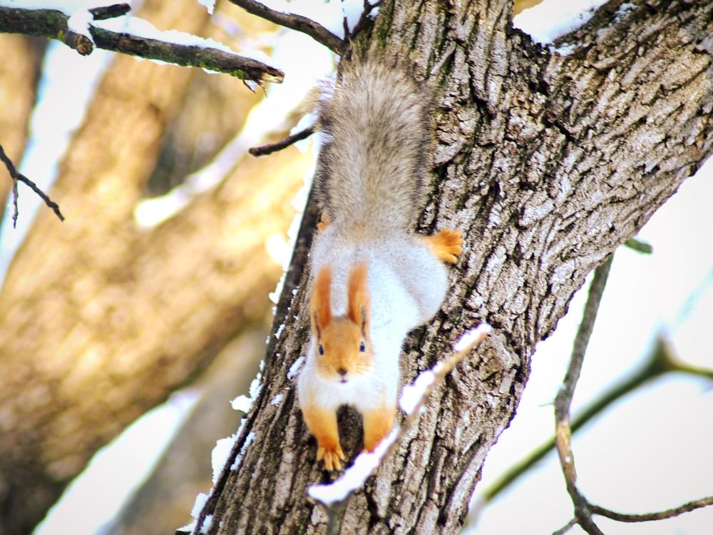 Фотография автора Андрей Павловский