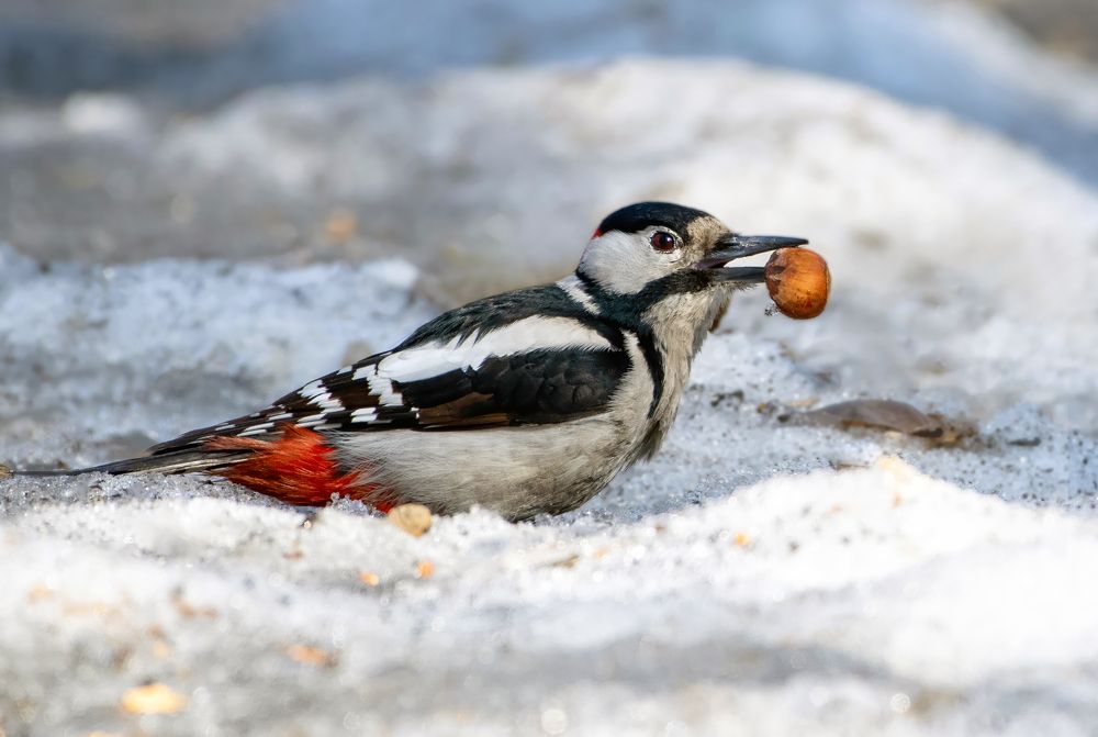 Photograph by Александр Перегудов