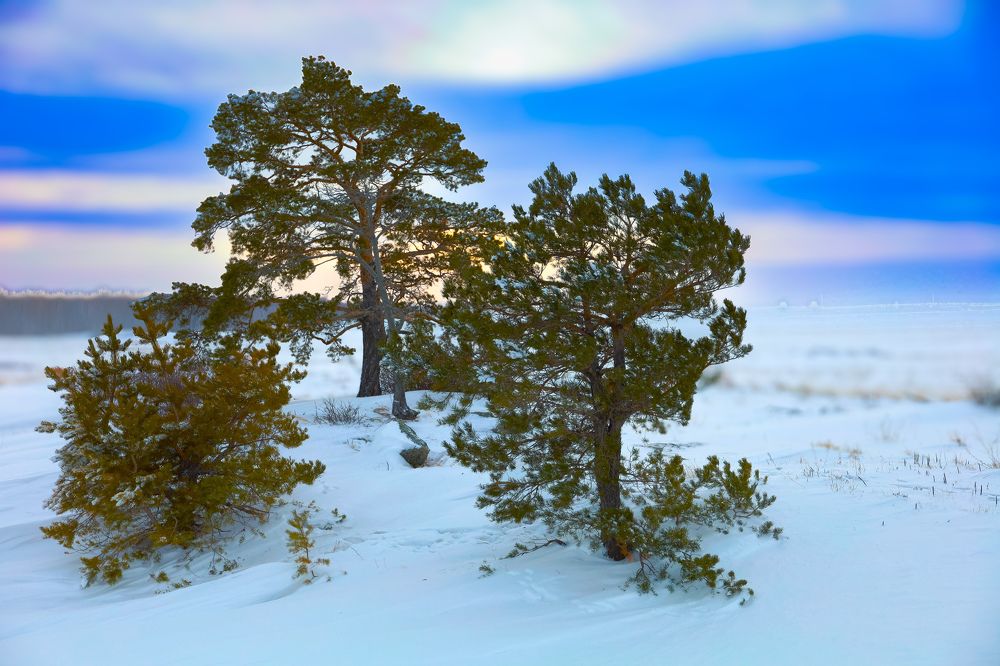 Photograph by Валентина Воробьёва