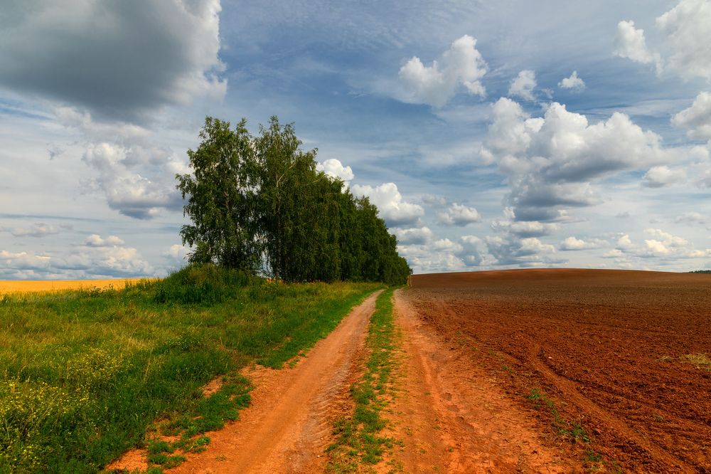 Photograph by Сергей Абашкин