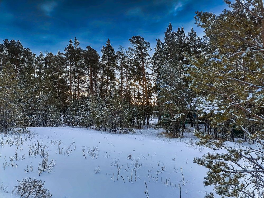 Photograph by Валентина Воробьёва