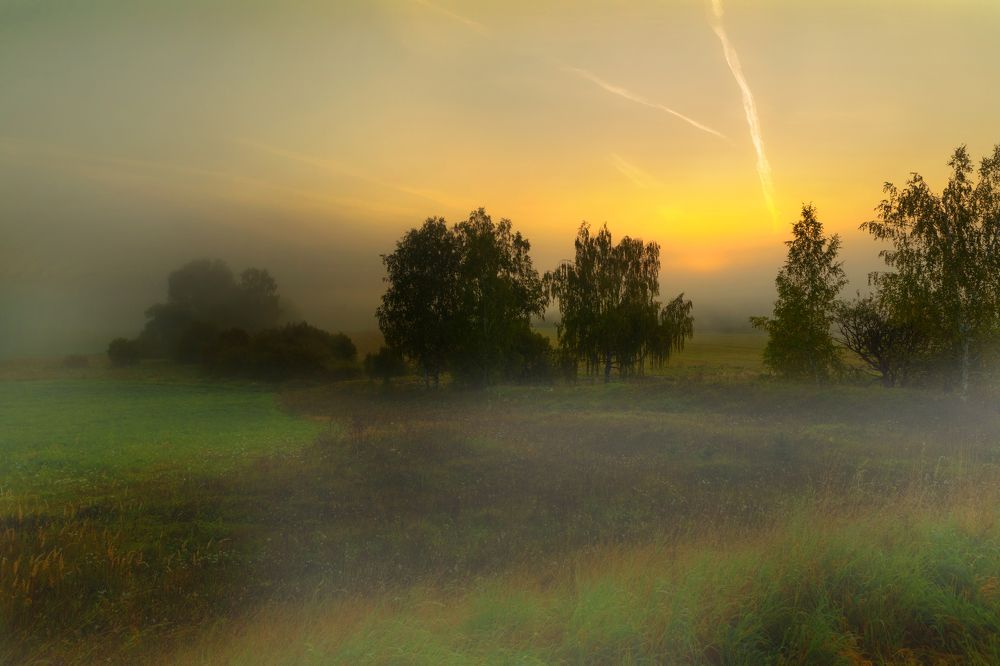 Photograph by Сергей Абашкин