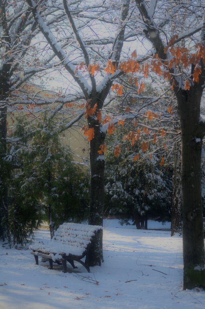 Photograph by Дмитрий Жуков