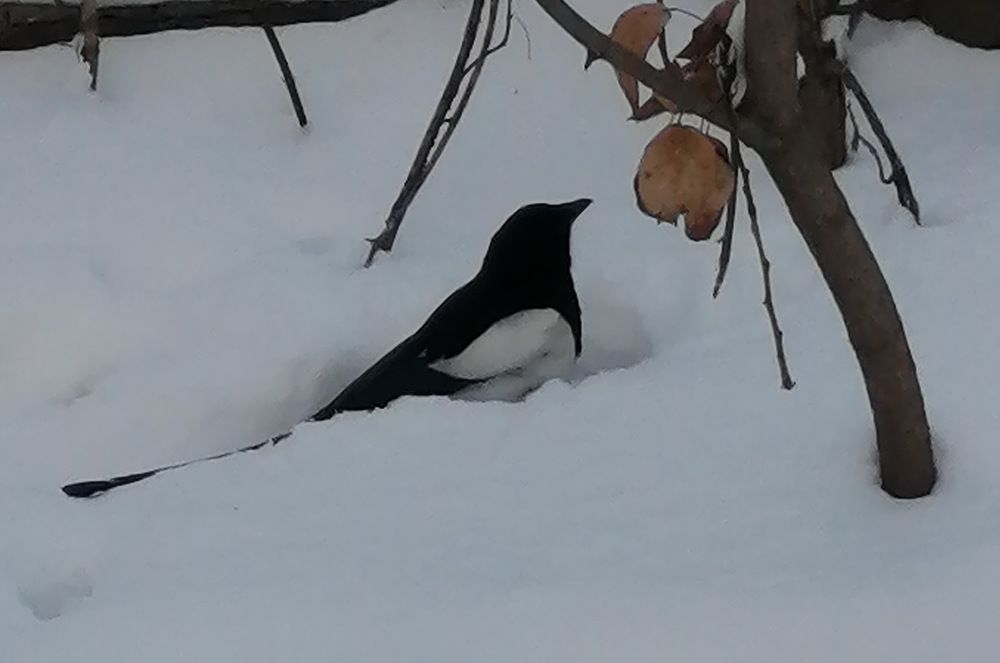 Photograph by Наталия