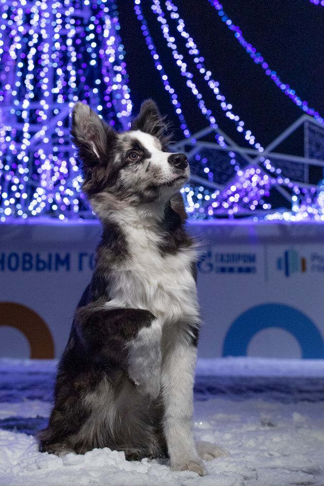 Photograph by Татьяна Арендаренко