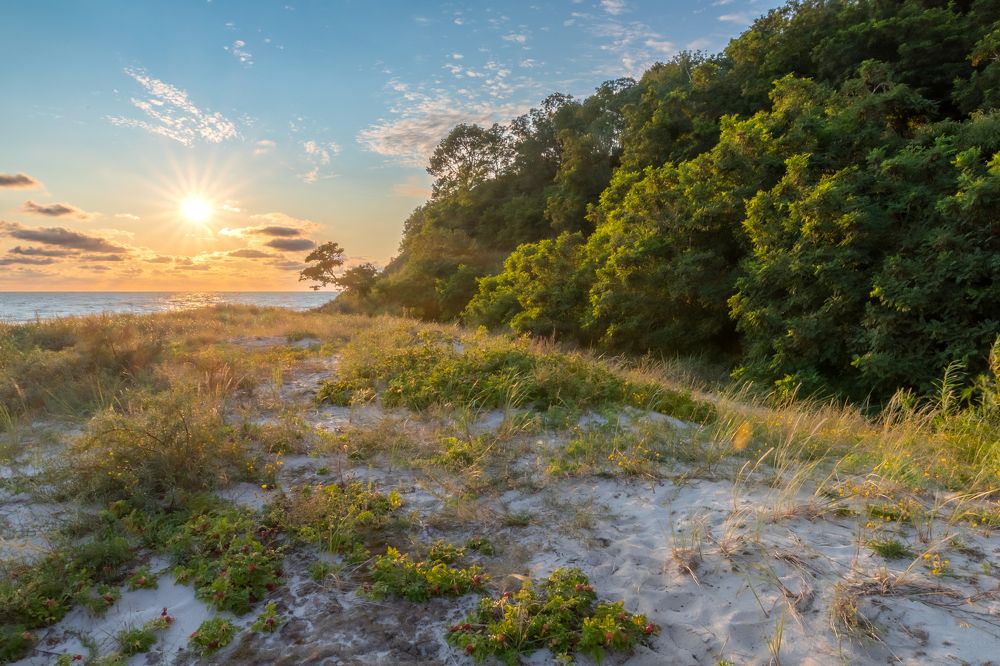 Photograph by Константин Чижов