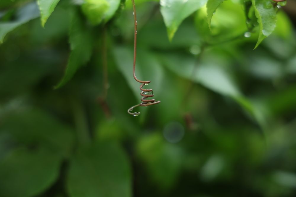 Photograph by Glorius Delima