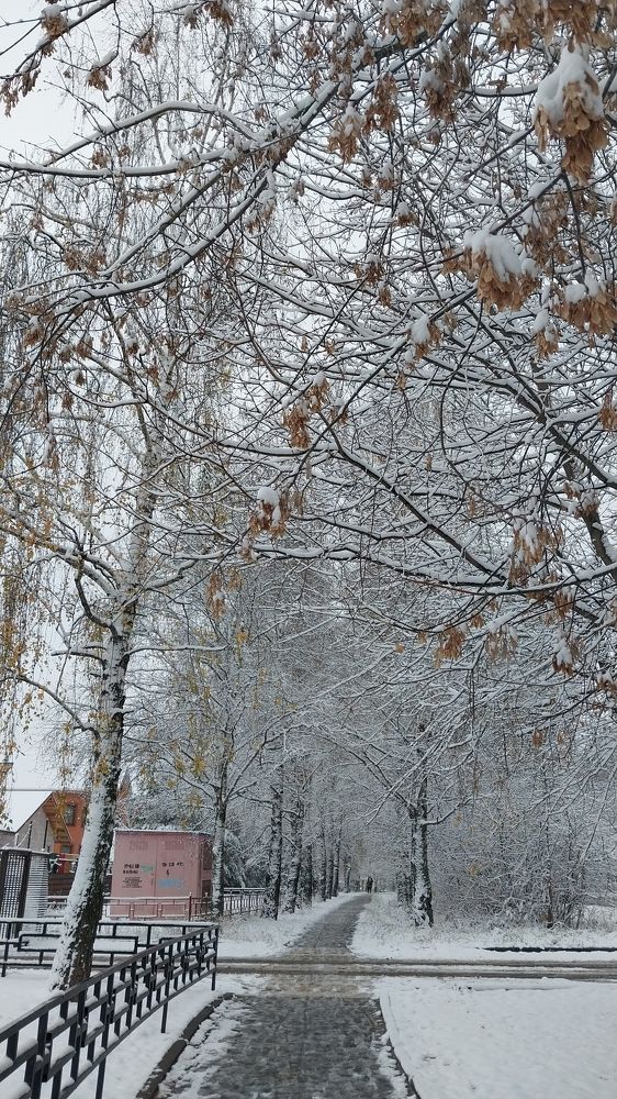 Photograph by Людмила Липаткина