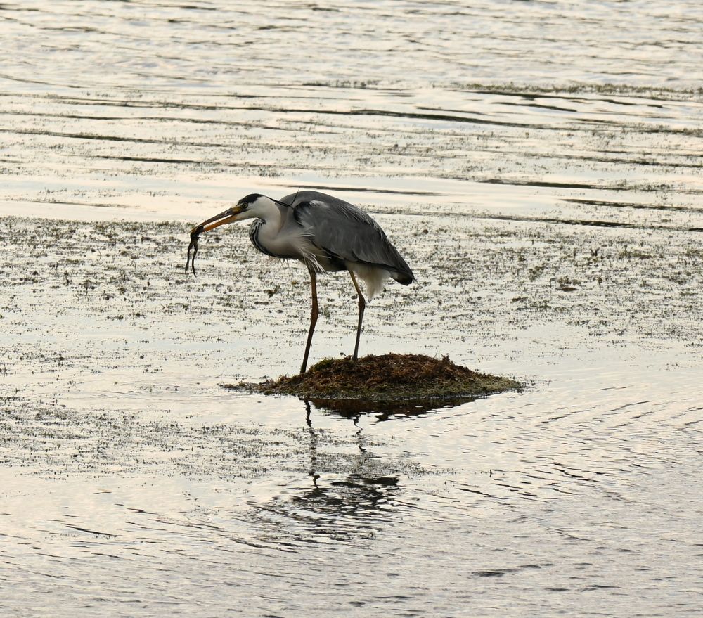 Photograph by Ольга Дерябина