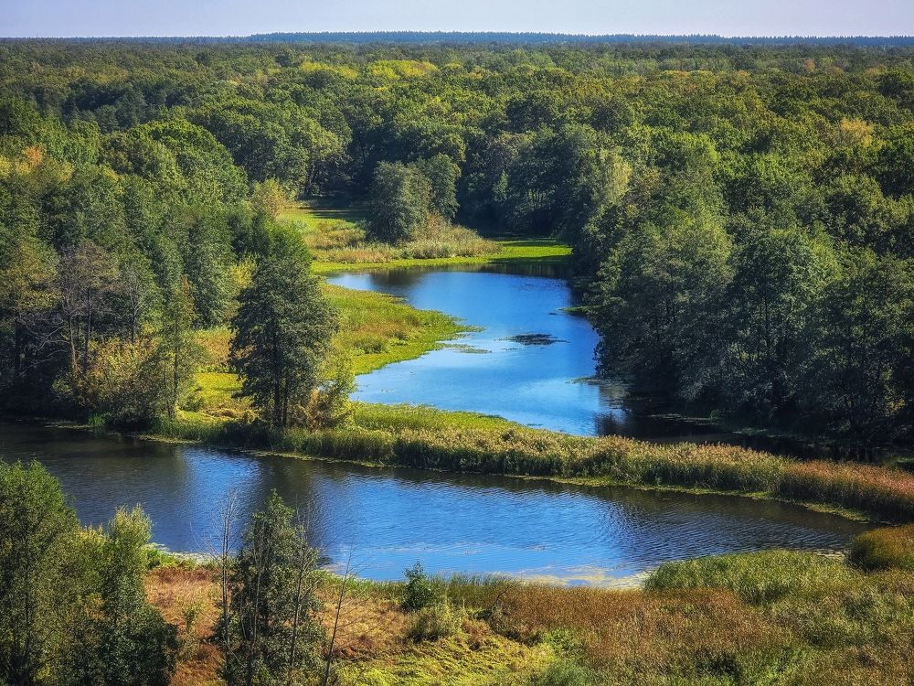 Photograph by Игорь Кабанов