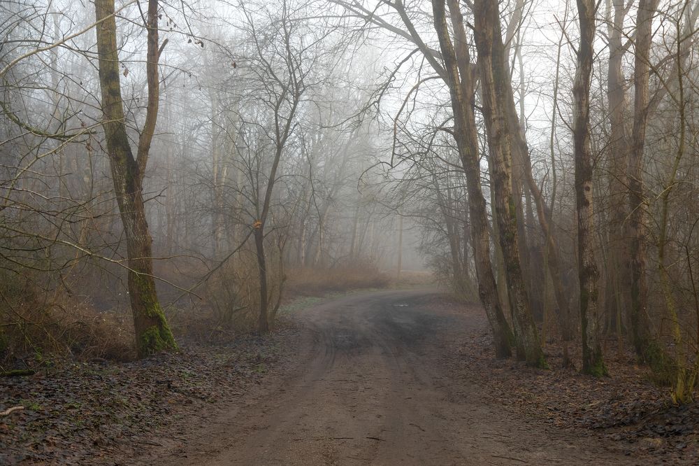 Фотография автора Svirin Vadim