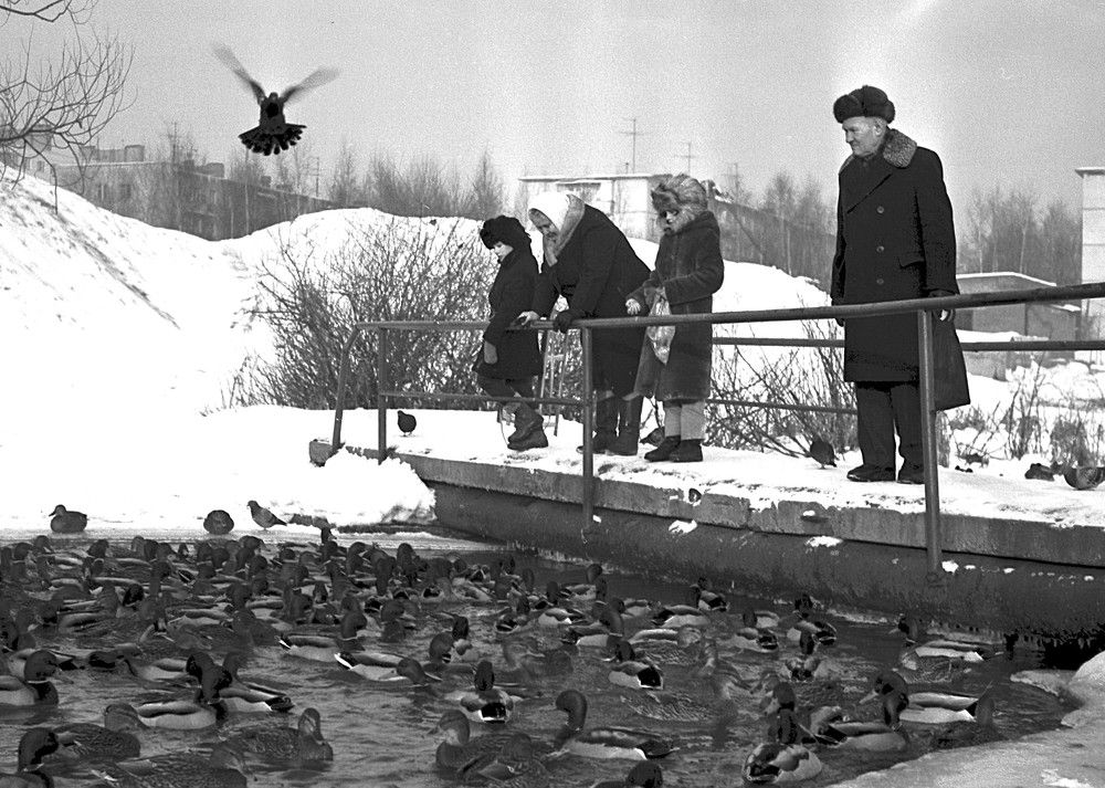 Photograph by Владимир Малёшин