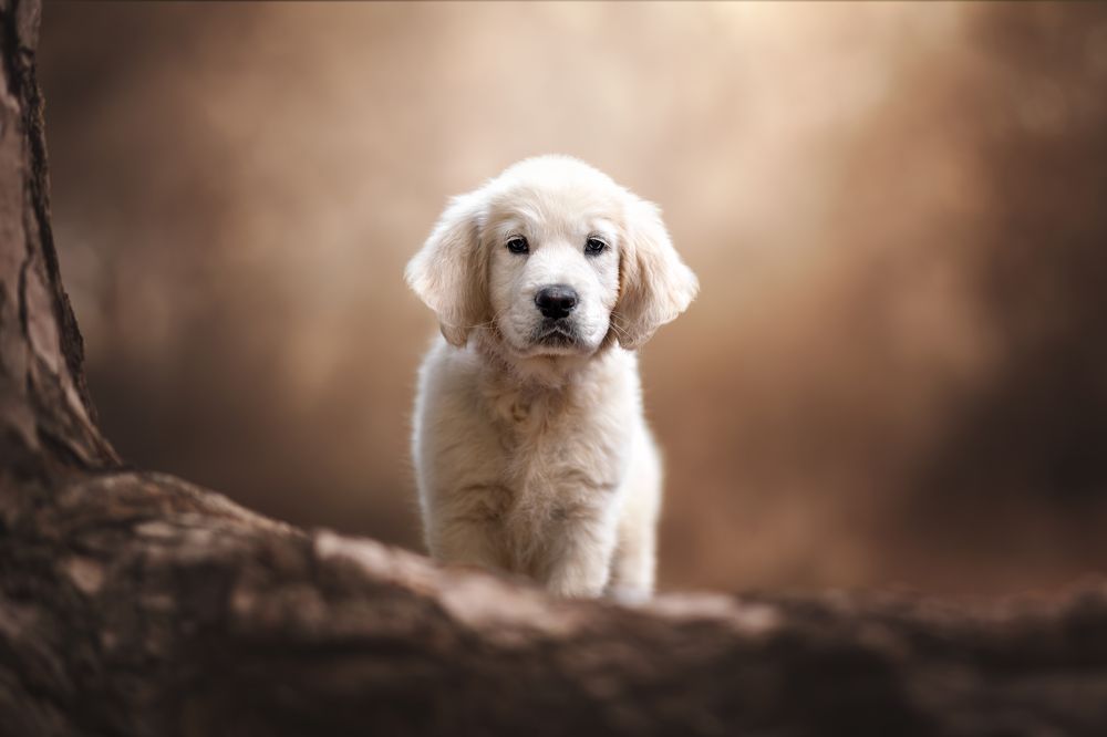 Photograph by Leticia Hernandez