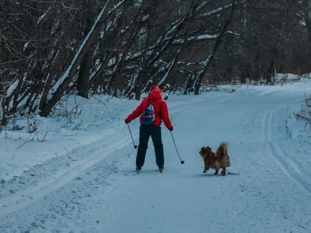 Photograph by Иван Карпов