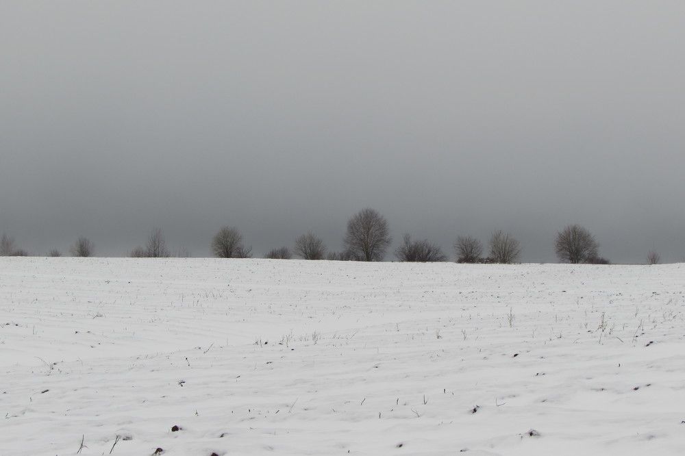 Минимализм