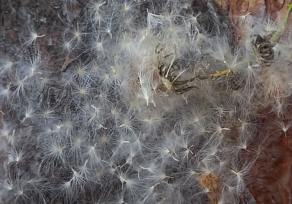 Photograph by Ирина Архипова