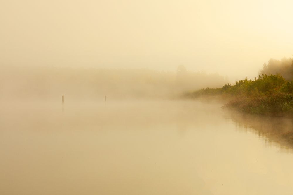 Photograph by Сергей Абашкин