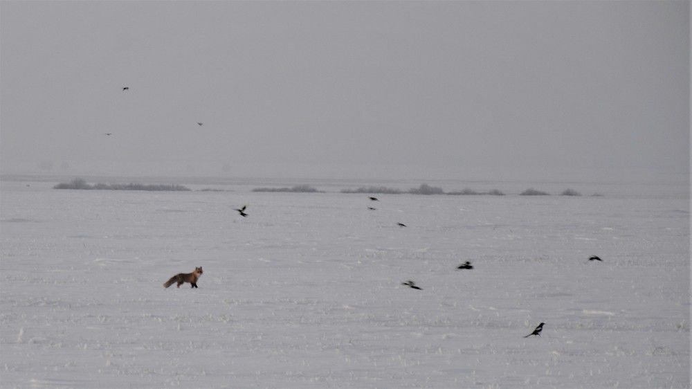 Photograph by Константин Баюн