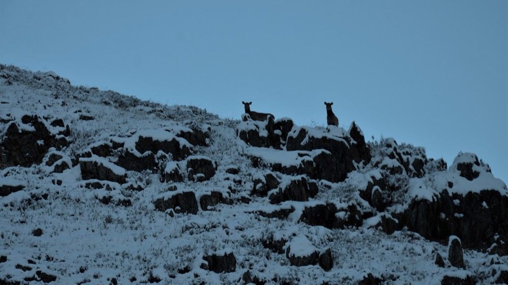 Photograph by Константин Баюн