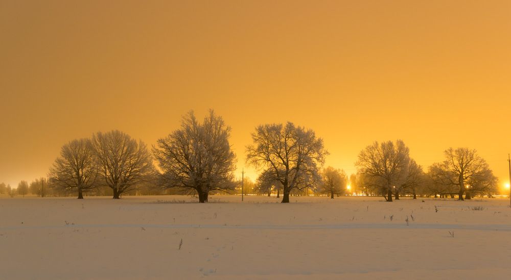 Photograph by Вячеслав