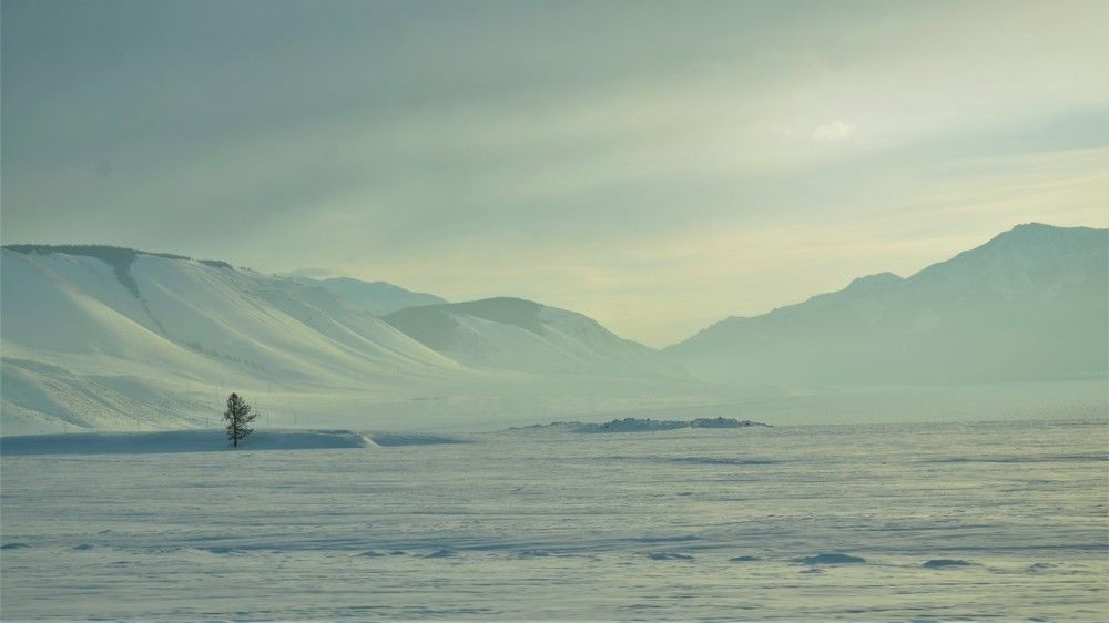 Photograph by Константин Баюн