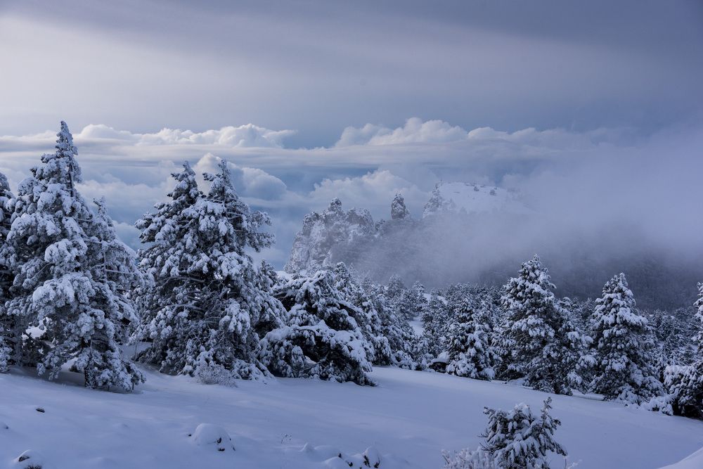 Photograph by Будаква Сергей