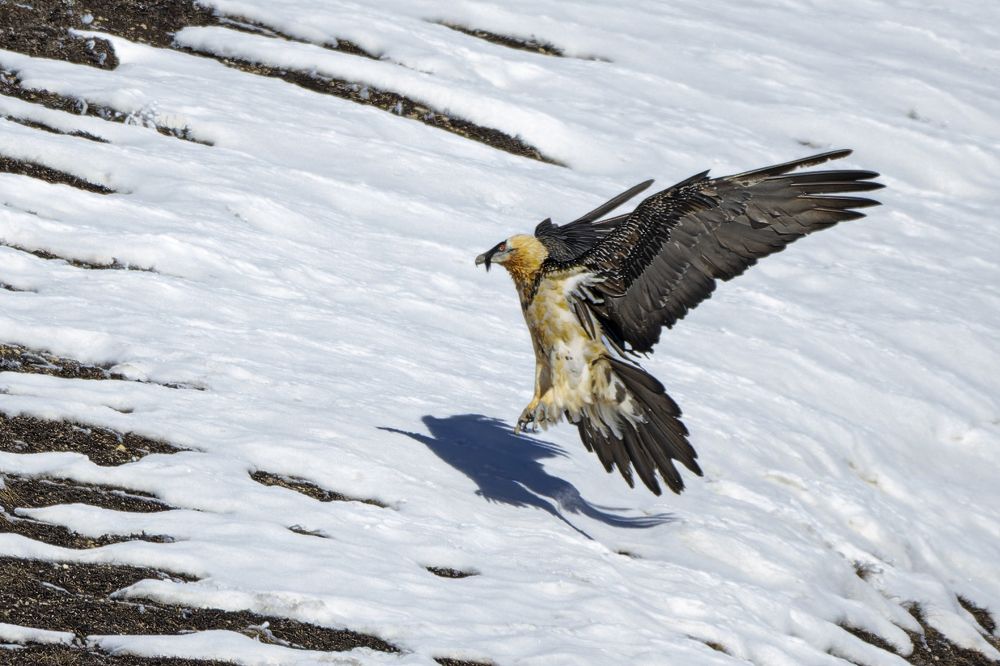 Photograph by Светлана Барабанщикова