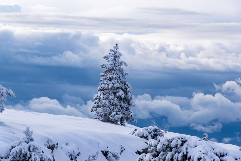 Photograph by Будаква Сергей