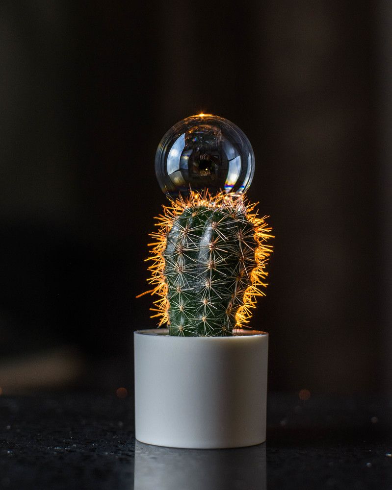 Photograph by Людмила Прибылова