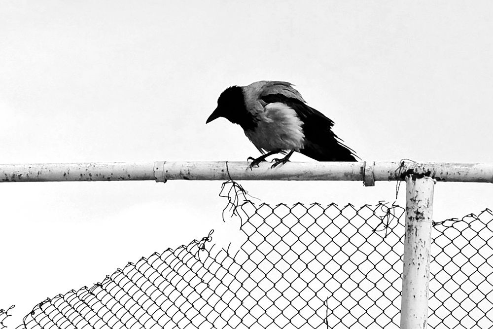 Одиночество.