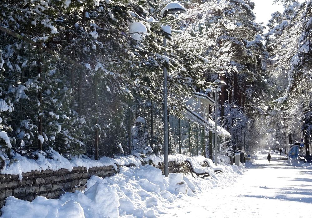 Ветерок подул