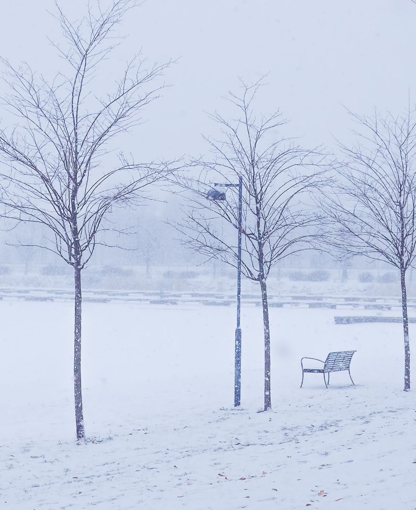 Photograph by Irina Ebral