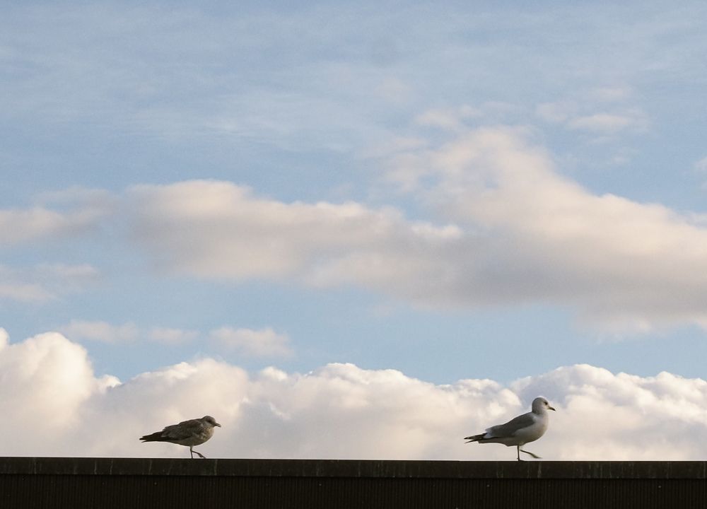 Photograph by Irina Ebral