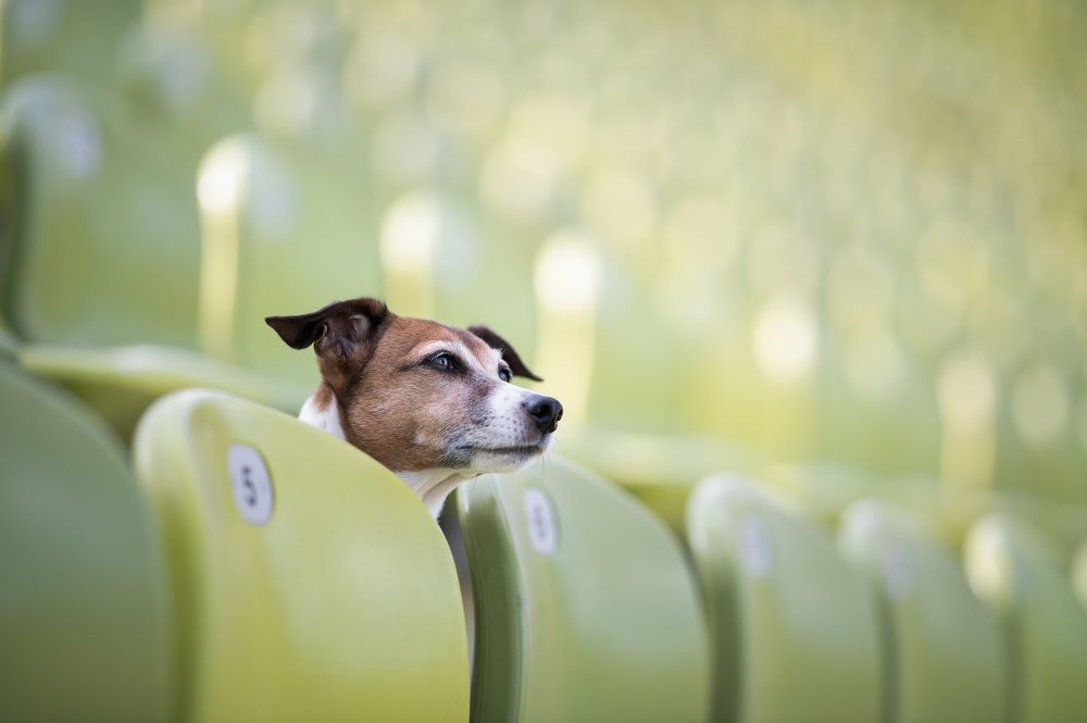 Photograph by Karoline Palme