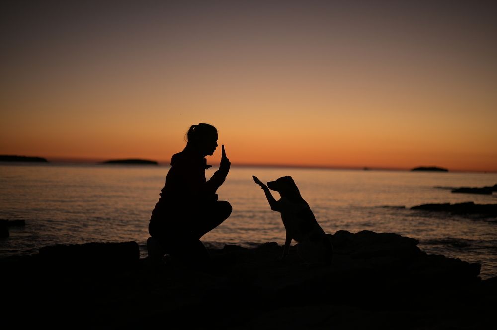 Photograph by Karoline Palme