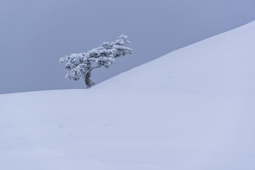 Photograph by Будаква Сергей