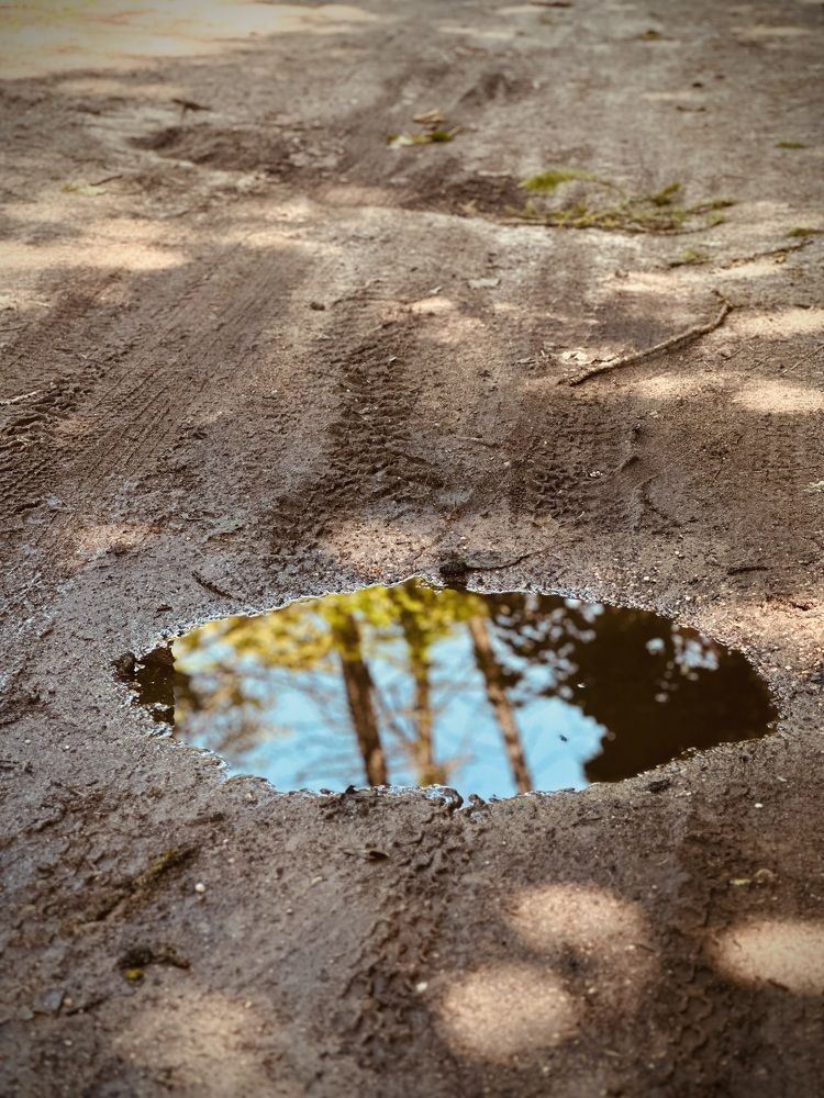 Photograph by Наумова Татьяна