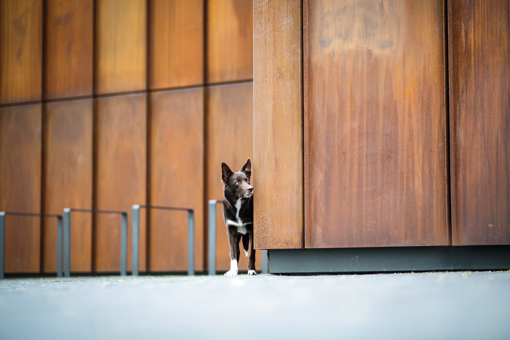 Photograph by Karoline Palme