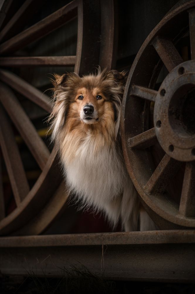 Photograph by Karoline Palme